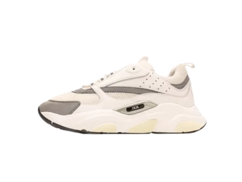 Dior B22 White Silver