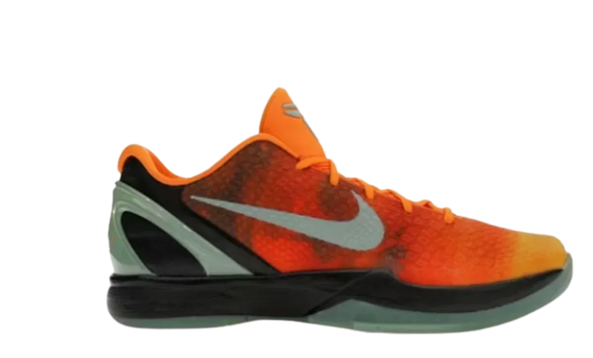 Kobe 6