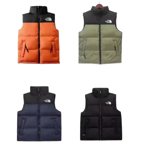 BUDGET NORTH FACE BEST PUFFER