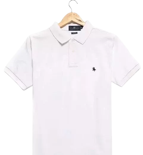 Ralph Lauren Polo Shirt (10+ Colorways)